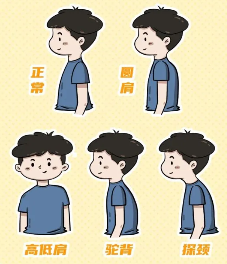 图片 2.png