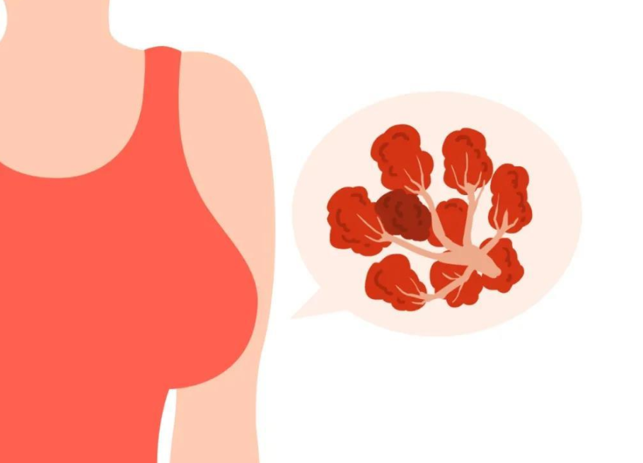 1774948352267426.jpg 7c2f1de956ebb419.jpg