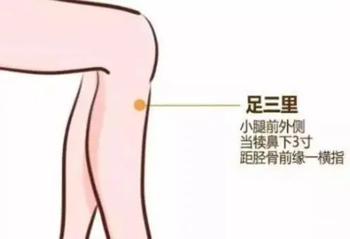 足三里.jpg